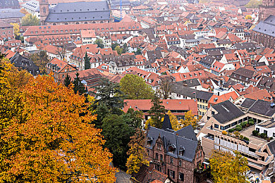 污污网站入口：暗网竞速，解密飞驰，隐藏赛道终极挑战-3