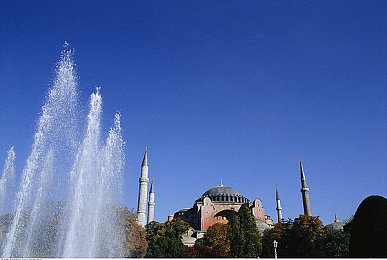 打扑克又叫又叫:狂飙赛道,智牌决胜,策略竞速新纪元-2