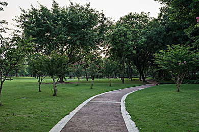 17C黑料：隐藏性能怪兽引发争议，赛车游戏平衡性面临挑战-2