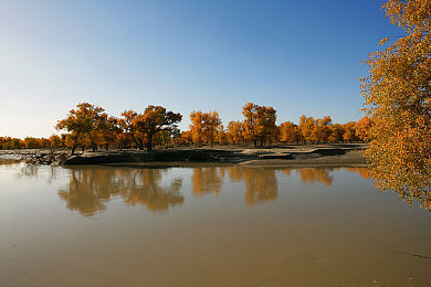 黑人与女优：霓虹深渊，疾速共生，挣脱数据牢笼的夜城传说-2