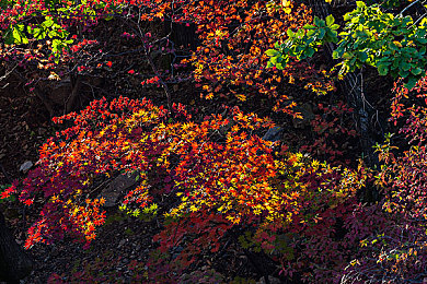 打扑克不盖被子怎么办：极速牌手攻略，应对突发状况的竞速卡牌秘籍-2