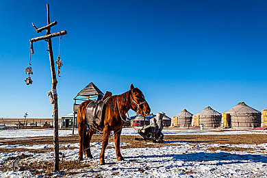 新疆军人裸体男gayboys军人性：钢铁战魂边疆守护者，硬核战术与战友羁绊的深度交织-2