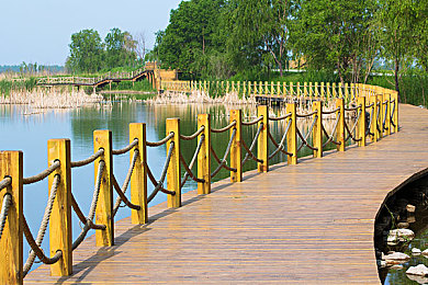 客厅大伦交侩h的风格特点：竞速派对新宠，易上手难精通的客厅娱乐新选择-2