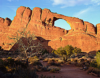 国产成人ab：末日驾驶生存新作上线，动态难度系统颠覆硬核体验-2