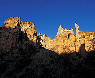 男生和女生一起差差差下载：极速搭档评测，差异化双人协作引爆竞速新体验