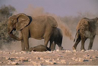 粉馒头一线天和二线天口感区别:竞速新体验,赛道口感哲学引爆美食驾驶狂潮-1