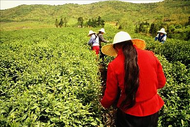 不卡网:墨西哥风尘中,每一帧都是无拖沓的速度诗篇-2