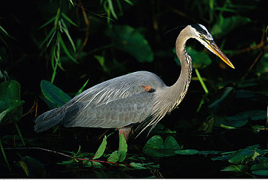 十大严禁软件：地平线5反外挂指南，捍卫纯净竞速体验-3
