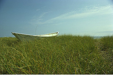 男戳女软件：汽车改造师，审美翻译官与多元需求对话录-3