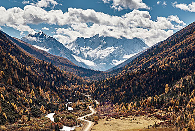 91爆料社：独家揭秘都市狂飙隐藏赛车，解锁幽灵车队终极攻略-2