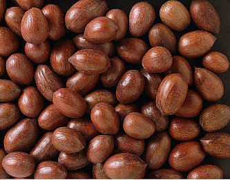 国产VA剧情：记忆回廊今日发车，带你体验情感交织的时光之旅-2