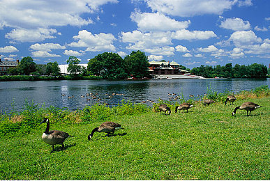 红豆外桂:蒸汽朋克机车决战东方山水,赛季更新开启全新江湖竞速时代-2