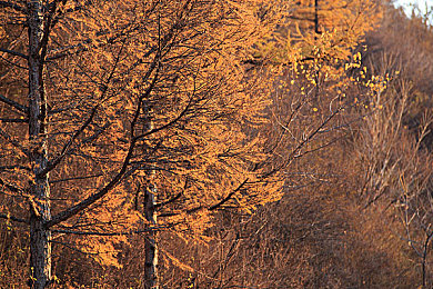 国内AV电影：《极速映像》今日上线，用赛车与镜头重塑竞速游戏美学-2
