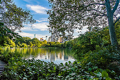 404禁止下载软件大全10：虚拟赛车新作发布，以数字封锁为背景挑战玩家驾驶与黑客技巧