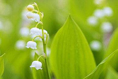 篮球肌肉体育生被训成建构:从球场到工地,硬核转型点燃建造新激情-2