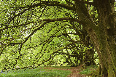 真实3p老婆的刺激经历：地平线5三人同屏竞速攻略发布，协作夺冠技巧全解析