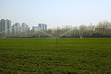 自由业余青少年：街头赛车新星，在开放世界飙出你的成长之路-1