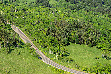 黄色应用免费版：极限竞速地平线5免费畅玩，墨西哥开放世界竞速新巅峰-3