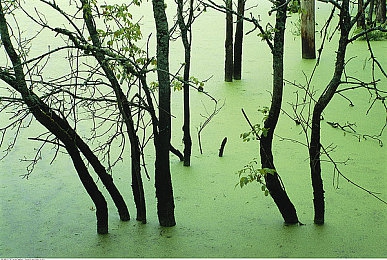 黄网软件：虚拟赛车改装大师今日上线，打造你的专属改装帝国-3