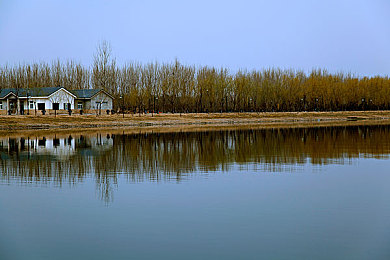 黄三色与三色颜色搭配表图：疾驰调色盘，赛道上的视觉竞速艺术-1