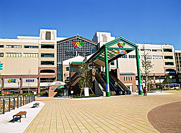 男人与雌性宠物交HD：《狂野机车HD》正式发售，极致拟真驾驶与深度改装系统引爆竞速热潮