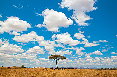 公猪爬女人背：征服极限陡坡，体验硬核越野驾驶的终极乐趣