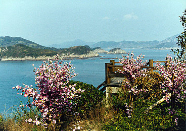 性一交一乱一做一爱：极速风暴，动态策略，赛道交互与零件即制交响曲-1