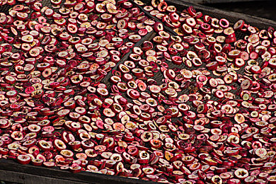 男生女生差差差的app:极速驾驭个性赛道,差异化竞速颠覆传统体验-2