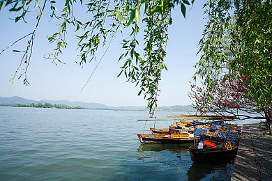 大学生XXXX：青春引擎轰鸣，地平线5开放世界竞速点燃驾驶梦想