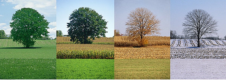 口述3p过程：竞速新纪元，三人同心如何重塑赛道协作哲学