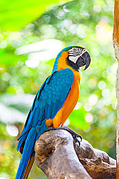 男生女生修修修轮滑鞋免费软件:极速工坊街头匠人,免费改装打造你的专属座驾-3