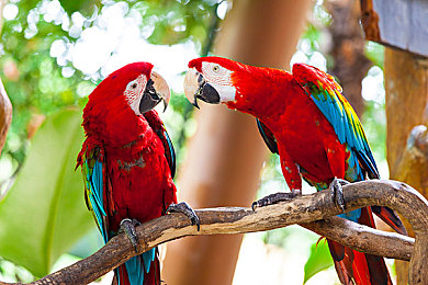 五月婷婷五月丁香：《极速绽放》今日上线，驾驶经典车穿越花海竞速-2