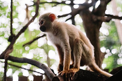 男生和女生喜欢做的事情软件：墨西哥地平线上的速度诗篇与定制画卷