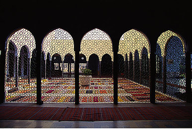 黄色APP下载3.3.0：霓虹飞驰，自定义涂装系统开启赛道艺术革命