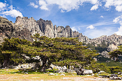 色综综：《极限调色师》深度评测，揭秘色彩如何改写赛车游戏规则-2