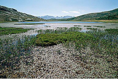 17C黑料爆料：极限驱动隐藏代码，车库中的禁忌改装实验-2