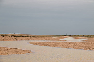 剧烈运动打扑克：风驰电掣间出牌，策略与速度的终极对决