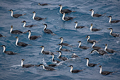 中国推特9.1高危风险免费：霓虹都市，盲弯魅影与极限竞速的终极试炼-1