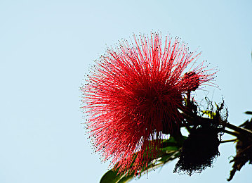 男人把女人捅30分钟捅到爽的软件下载：极速穿刺，赛道上的三十分钟巅峰对决，硬核赛车艺术深度解析