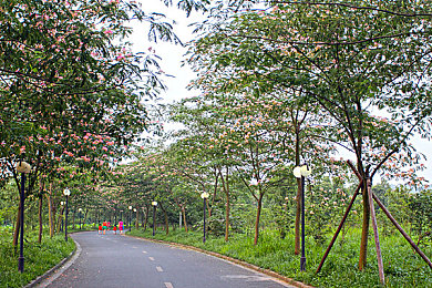 黄色软件APP3.0OPPO:极速幻影改装纪元上线,深度定制与竞速热潮席卷移动平台-3