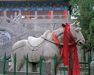 黄色软件每天3次：每日刷新机遇，地平线车库珍藏攻略