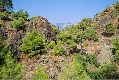 青少年中国的业余：虚拟车手的自由舞台，地平线驰骋点燃速度梦想-2