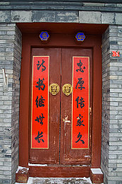 猫咪成人网:萌宠竞速新游,虚拟赛道上的喵星车手之旅-2