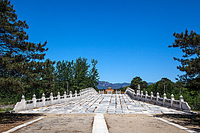 黄色禁播软件：霓虹狂飙冲破规则，地下赛车引爆争议狂潮-2