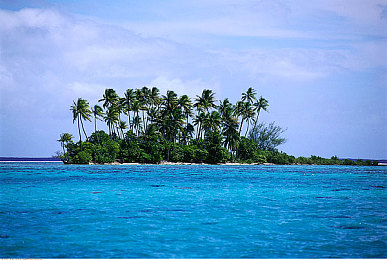 黄色网址3.0：黄金时刻，在墨西哥的虚拟旷野中追逐落日与速度的诗篇