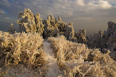 AV剧情：极速回响，用引擎轰鸣讲述一段热血人生-2