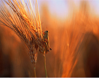 日本aⅴ：东京湾极速对决，沉浸体验日系跑车改装文化与拟真赛道挑战