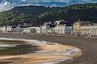 黄色软件app下载oppo版大全装扮：极速改装王深度评测，OPPO版上线，打造专属梦幻座驾全攻略