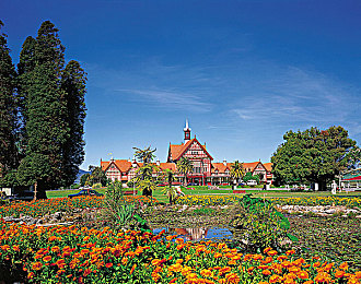 调教gay:极速调校齿轮联盟正式上线,硬核改装与竞速体验引爆玩家热情-2