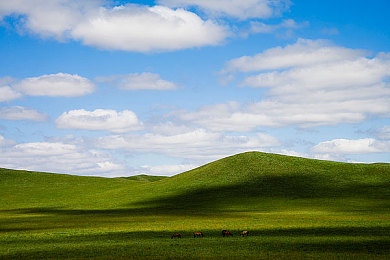色就色+综合：霓虹飞驰于墨西哥，调校艺术成就平衡之道-3